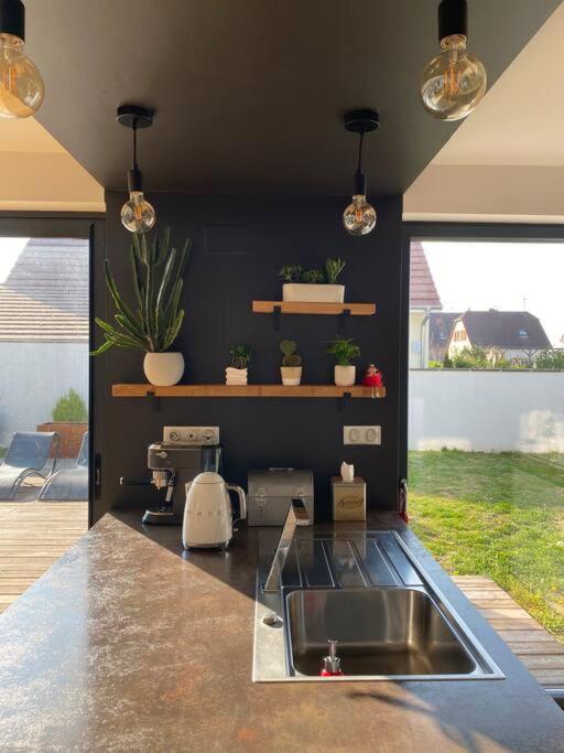 Maison D'Architecte Situee Sur La Route Des Vins Châtenois 外观 照片